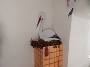 Výlet Dobrovice  Ptačí svět